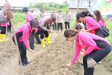Polres Sorong Selatan Tanam Jagung Serentak Kuartal IV