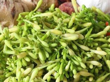 Daun Pepaya Pahit Tapi Punya Banyak Manfaat