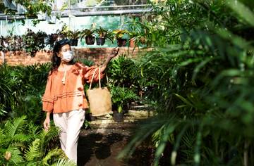 Urban Gardening: Hobi Hijau di Tengah Kota