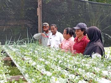 Pemberdayaan Pemuda OAP Lewat Pertanian Hidroponik di Kota