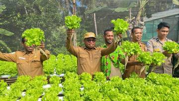 Walikota Sorong Panen Sayuran Hidroponik dan Telur Ayam 