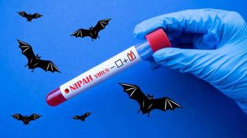 Virus Nipah, Yuk Kenali Gejalanya