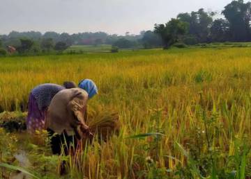 ​Kenaikan HPP Perlu Pengawasan Maksimal