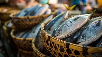 Musim Angin, Harga Ikan Laut Mahal