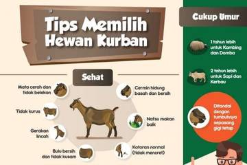 Menjamin Kelayakan Hewan Kurban