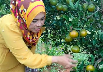 Tempat Wisata Ini Diciptakan Seorang Mantan Tour Guide