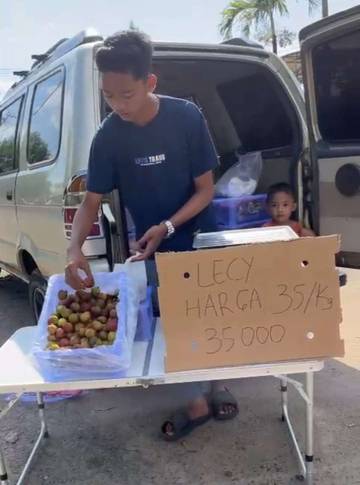 Panen Raya Buah Leci Bikin Harga Jadi Murah