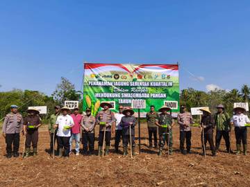 DKPP Sumenep Bersama Forkopimda Tanam Jagung Serentak