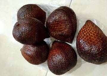 Salak Indonesia, Kecil tapi Berkhasiat