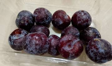 Buah Plum Dinilai Bernutrisi Tinggi
