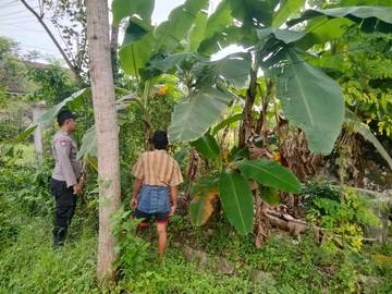 Polsek Batuputih Dampingi Program Pekarangan Pangan Bergizi