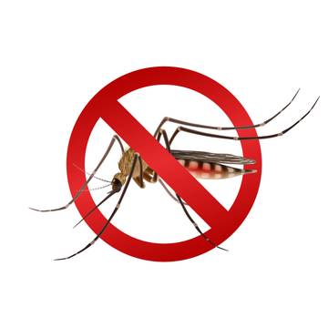 Kasus DBD Indonesia Masih Tinggi, Orang Tua Waspada