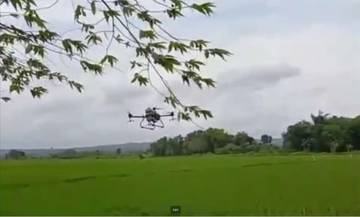 Pemeliharaan Padi di Sumenep Manfaatkan Teknologi Drone