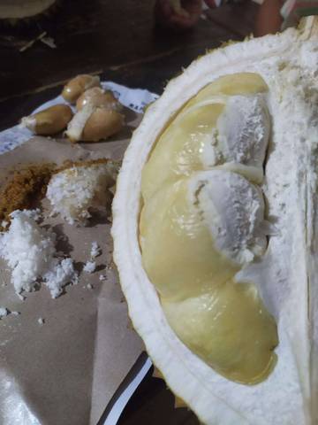 Durian, Rajanya Buah-Buahan yang Tetap Eksis