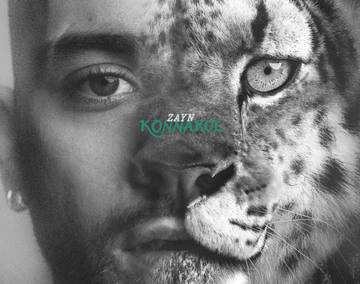 Zayn Rilis Album Konnakol April Mendatang