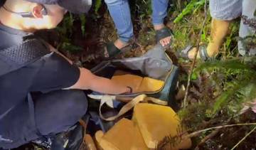 Miliki 14 Kilogram Ganja, Pria di Pangkalpinang Diringkus Polisi