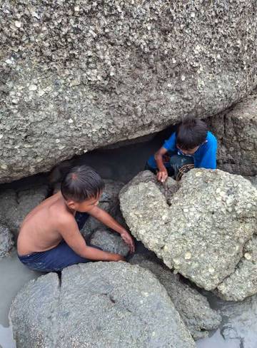 Serunya Berburu Kepiting di Pantai Batu Berakit Sungailiat