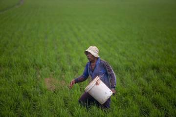 Menuju Kebangkitan Agraris Indonesia