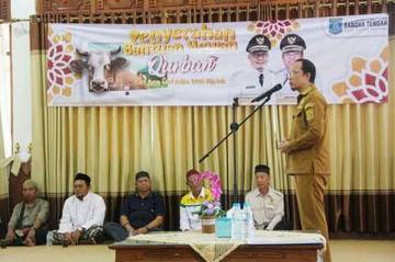 Pemkab Bateng Salurkan 63 ekor Sapi Kurban