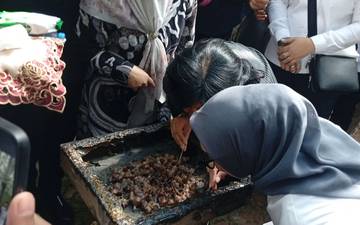 Hutan Pelawan Destinasi Wisata Alam di Desa Namang