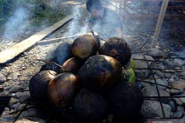 Air Kelapa  Bakar  Obat Kesehatan Tubuh Alami
