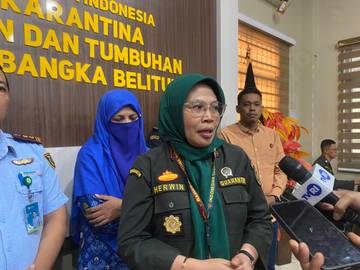 Belum Ada Penyakit PPR dan Nipah di Babel