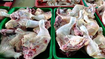 Komoditas Ayam Ras Berpotensi Naik Jelang Ramadan