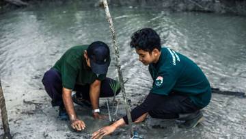 Pepelingasih Bersama Taman Bintang Samudra Geliatkan Lestari Lingkungan