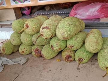 Cempedak Mulai Ramaikan Lapak Pedagang Musiman Sungailiat