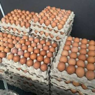 Harga Telur Ayam Mengalami Kenaikan