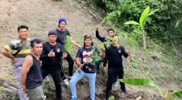 Satresnarkoba Polres Kerinci Temukan Ladang Ganja