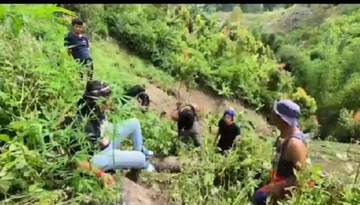 Polres Kerinci berhasil Amankan Pemilik Ladang Ganja di Kota Sungai Penuh