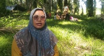 Menembus Hutan Sawit Demi Mendidik Anak Rimba