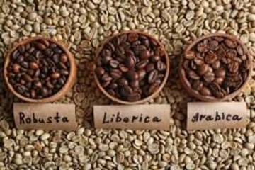 Kenali Jenis Kopi Yang Ada Di Dunia