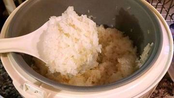 Penyebab Nasi di Rice Cooker Cepat Basi