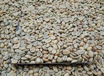 Harga Biji Kopi di Sungai Penuh Turun