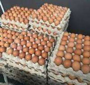 Harga Telur Ayam di Pasar Tanjung Bajure Naik