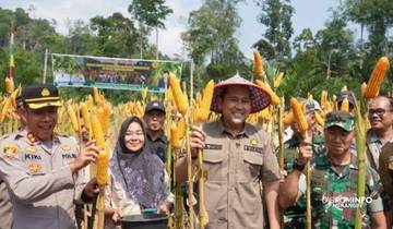Panen Jagung Perdana, Bupati Serahkan Gaji ke Kades
