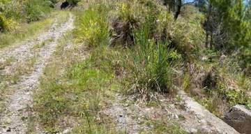Enam Tahun Jalan Rusak, Petani Sulit Angkut Hasil Ladang