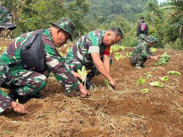 Dansatgas TMMD Tanam Sayur Wujudkan Kemandirian Pangan