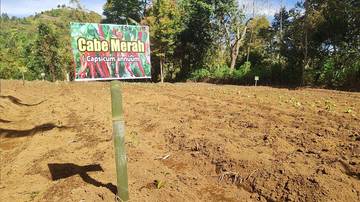 Satgas TMMD ke-126 Dukung Ketahanan Pangan Sungai Jernih