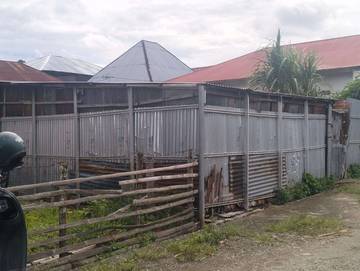 Warga Koto Tuo Keluhkan Kandang Sapi Dekat Pemukiman