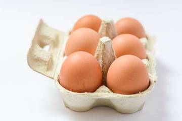 Telur Infertil dan Keamanannya untuk Dikonsumsi