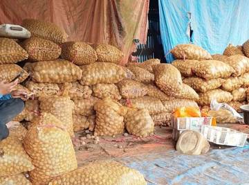 Harga Kentang Jatuh, Petani Kayu Aro Mengeluh