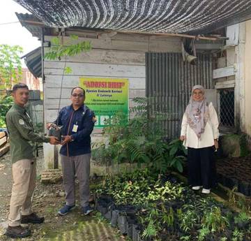 Hilangnya Kawasan Resapan Dampak Dari Kerusakan Hutan