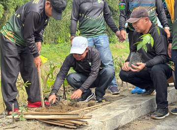 Kakan Kemenag Sungai Penuh Ikuti Penanaman Pohon Serentak 