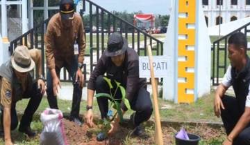 Merangin Hijau dengan Penanaman 4.000 Pohon Produktif