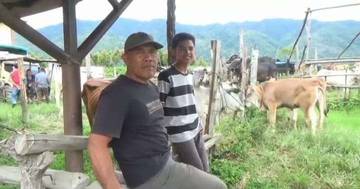 Permintaan Sapi di Pasar Tradisional Kerinci Masih Sepi