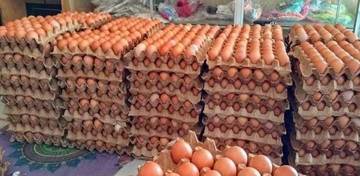 Harga Telur di Sungai Penuh Tembus Rp2.000