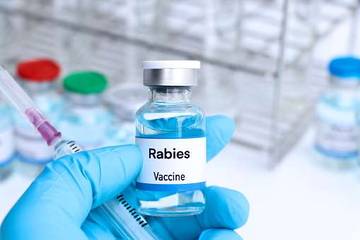 Disnakan Sungai Penuh Usulkan 6.500 Dosis Vaksin Rabies